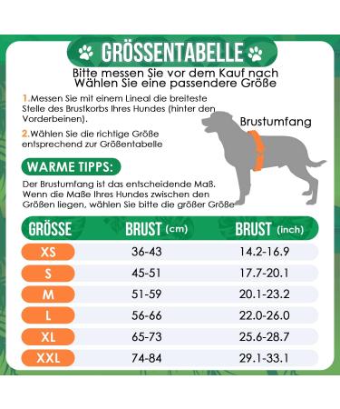 Eyin Dogs Swimming Jar | Shark-Shaped Dog Life Vest with Strong Buoyancy & Tear-Resistant Handle | Adjustable Size for Swimming Boating & Pool (Green M) - Buy Online on GoSupps.com