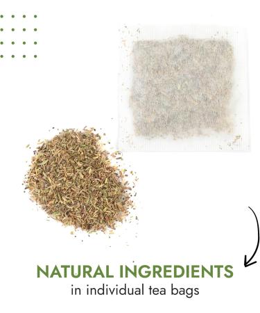  Alpi Nature Alpi Nature Organic Thyme Tea 80 Tea Bags with Thyme 80 g Pack of 4 x 20 Bags of 1 g - Buy Online on GoSupps.com