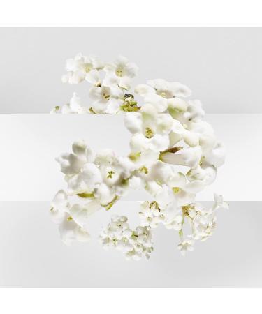 Un Jardin Sur La Lagune by Hermes for Women 3.3 oz Eau de Toilette Spray 3.3 Fl Oz (Pack of 1) - Buy Online on GoSupps.com