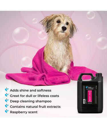GROOM PROFESSIONAL Raspberry Gloss Dog Shampoo - Deep Cleansing Shampoo for Smelly Dogs - Adds Shines and Condition to Coat - Great for Dull or Dry Coats - Revitalising Raspberry Scent 4 Litre - Buy Online on GoSupps.com