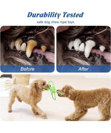 Etaccu Dog Toys Set 8 Indestructible Cotton Rope Toys for Small Dogs | Interactive Puppy Toys (Green) - Buy Online on GoSupps.com