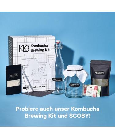 Kombucha Bio Scoby Infusion Bundle | Handmade Vegan Culture with 4 Flavors | Gluten-Free & Lactose-Free | 240ml for 1.2 2.4L Kombucha - Buy Online on GoSupps.com