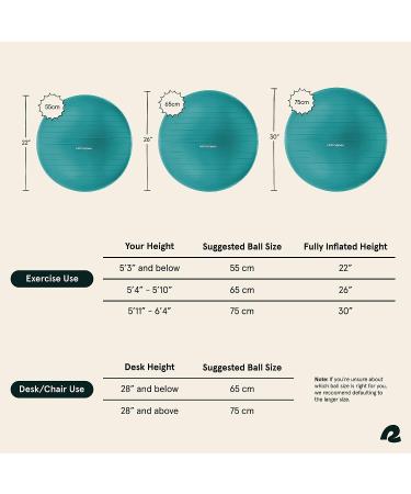 Retrospec Luna Exercise Ball Set | Anti-Burst 55cm Ball & Base with Pump | Rose - Buy Online on GoSupps.com