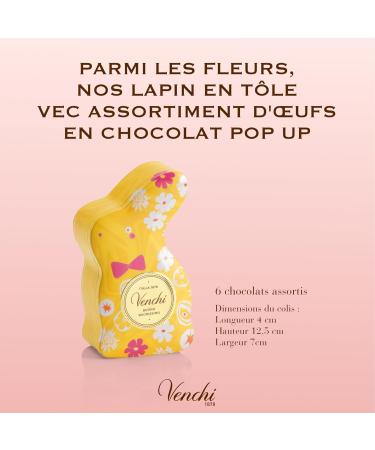 Venchi - Bo te en Forme de Lapin avec 6 ufs en Chocolat Saveurs Assorties avec "Noisettes Du Pi mont" Sans Gluten 66 gr Collection P ques Id e Cadeau - Buy Online on GoSupps.com