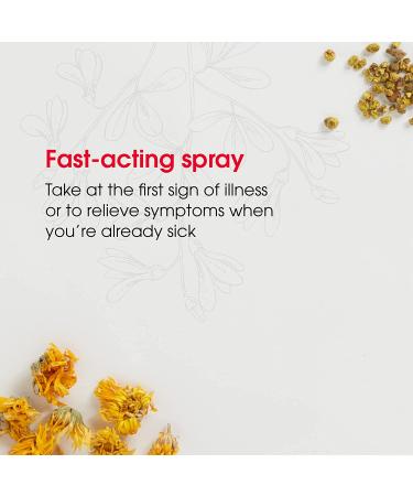 ReBoost Zinc +13 Cherry Spray - Fast-Acting Sore Throat Relief & Cold Symptoms - 0.68 oz - Buy Online on GoSupps.com