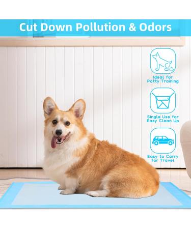 Super Absorbent Waterproof Dog Training Pads - 100 Count Extra Small 28 x 30 Hausbreaking Pet Pads - Ideal for Puppies - Blue XL 71x76cm - Buy Online on GoSupps.com