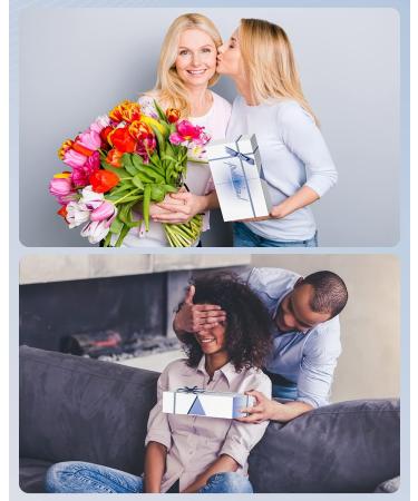 Professional Ionic Hair Dryer with Brushless Motor - Fast Drying, Low Noise, Portable Travel Hair Dryer in Silver Blue - Buy Online on GoSupps.com