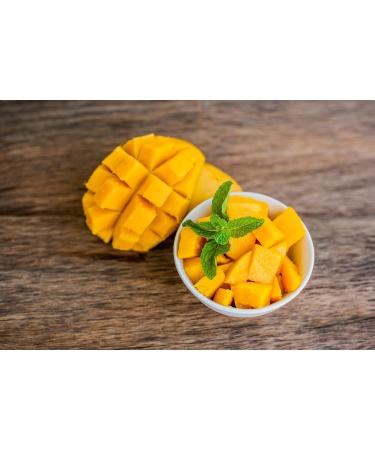 Freeze Dried Mango Slices 30 Gram 100% Fruit NO Added Sugar - Delicious Fruit Snacks (2-Pack) (60g 2 count) 60g 2 - Buy Online on GoSupps.com