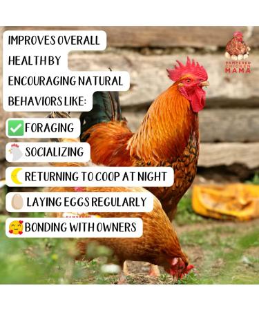 Pampered Chicken Mama 5lb Vital Nutrients & Egg Booster for Poultry - Chicken Vitamins & Molting Supplement - Buy Online on GoSupps.com