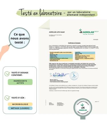 CHOLINE Vegavero | Avec 3 Formes Actives : L-Choline Bitartrate CDP Citicoline et Phosphatidylcholine | Sans Additifs | Fonction H patique | 90 G lules | VEGAN - Buy Online on GoSupps.com