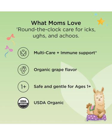 Hyland's Kids Organic All-in-One Grape Cough Syrup Day & Night Two 4 Ounce Bottles All-In-One - Day & Night Value Pack - Buy Online on GoSupps.com