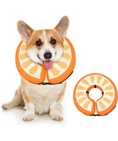 Ducomi Inflatable Hinges for Dogs & Cats | Post-Op Relaxation & Movement Freedom | XS Apple - Prevent Scratches & Bites - Buy Online on GoSupps.com