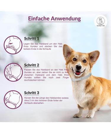 Animal Vita Premium Teck Neck Band for Small Dogs - Waterproof Size Adjustable 8 Months Tick Protection - Buy Online on GoSupps.com