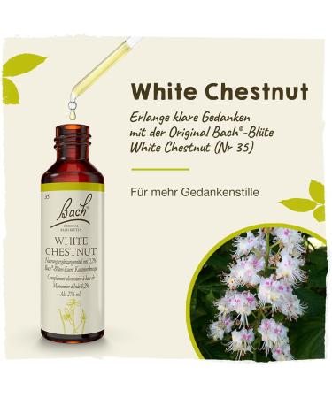 Original Bach Flower Drops No. 35 White Chestnut - Mental Calm & Clear Thoughts | 20ml - International Shipping Available - Buy Online on GoSupps.com