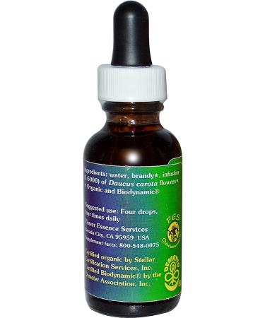 Queen Anne's Lace Flower Essence 1oz | FES Dropper Herbal Supplement - Buy Online on GoSupps.com