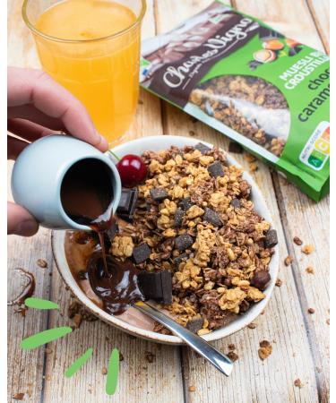 Charles Vignon - Organic Crunchy Chocolate Caramel Hazelnut Muesli - Palm Oil Free High in Fiber - Resealable Bag - Buy Online on GoSupps.com