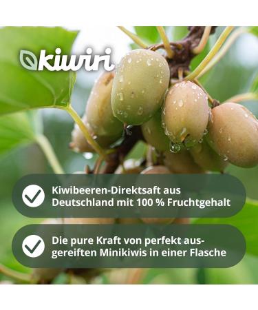  KIWIRI Kiwiri 's Jus de kiwiberry direct | 100% fruit content | German kiwi/minikiwis fruit juice (12 x 0.2 l) - Buy Online on GoSupps.com