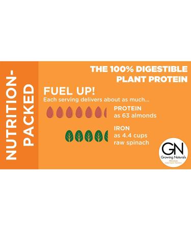 Growing Naturals Organic Chocolate Rice Protein Powder - Non-GMO, Vegan - 16.8 oz - Buy Online on GoSupps.com