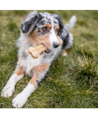 Nobby Chewing Bones - Pressed Bag of 50 Pieces (5.0 cm 10g) | Premium Dog Treats for Healthy Chewing | International Shipping Available - Buy Online on GoSupps.com