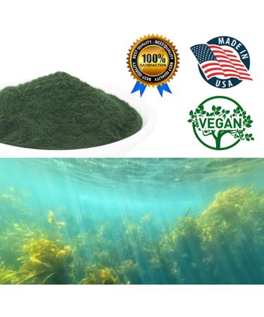 DOL-Spirulina Powder 16 Ounce Substitute protein powder Fitness food Spirulina on Earth - 100% Vegetarian 1LB 16 Ounce (Pack of 1) - Buy Online on GoSupps.com