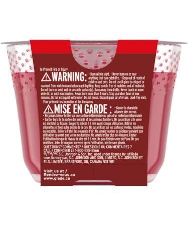 Glade Scented Candle Apple Cinnamon Limited Edition 3-Wick Candle Air Freshener Infused with Essential Oils for Home Fragrance 1 Count (Packaging May Vary) - Buy Online on GoSupps.com