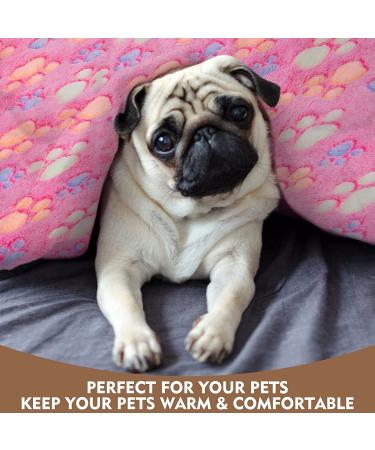 EXPAWLORER Fluffy Paw Print Dog Blanket - Soft Warm Fleece Pet Blanket for Small Pets - Cozy Mat Cover for Cats and Dogs - Purple - Buy Online on GoSupps.com