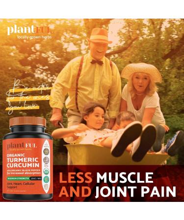 Organic Turmeric Supplement with Black Pepper - USDA Certified, Non-GMO Curcumin 2115mg - Antioxidant Joint & Immune Support - 120 Tablets - Buy Online on GoSupps.com