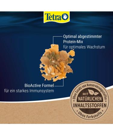 Tetramine Flakes for Ornamental Fish - 10L Bucket Healthy Balanced Feed for Clear Water - 2.1kg - Buy Online on GoSupps.com