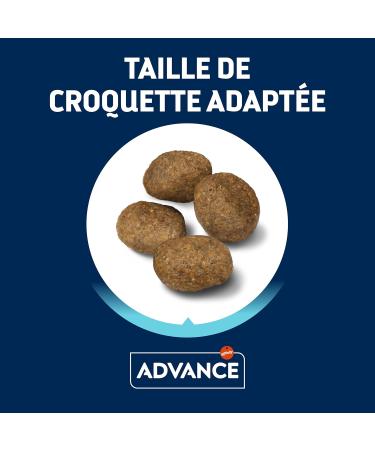 Advance Medium Maxi Sensitive Lamb - Dry Food for Medium and Large Breed Dogs with Digestive Sensitivities with Lamb - 12kg - Buy Online on GoSupps.com