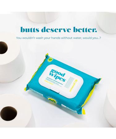 Goodwipes Flushable & Biodegradable Wipes with Botanicals | 180 Count (3 Packs) | Shea-Coco with Aloe | At-Home Use Safe | Septic-Sewer Safe - Buy Online on GoSupps.com