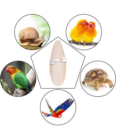 Bohoman 4-Piece Sepia Shell Parrot Chewing Toys with Metal Holders - Ideal for Birds Reptiles & Snails | 12-14cm - Buy Online on GoSupps.com