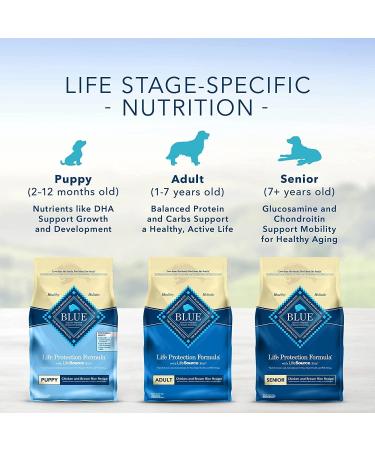Blue Buffalo Life Protection Formula Healthy Weight Large Breed Dog Food & Life Protection Formula Adult Dog Food - Natural Dry Dog Food for Adult Dogs - Chicken and Brown Rice Healthy Weight Large Breed Chicken Large Bag + Dog Food - 11.7 Kg - Buy Online on GoSupps.com