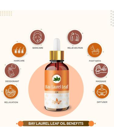 Crysalis Bay Laurel Leaf (Laurus Nobilis) Oil|100% Pure & Natural Undiluted Essential Oil Organic Standard for Skin & Hair Care|Therapeutic Grade Oil- 100ml with Dropper Bay Laurel Leaf 100 ml (Pack of 1) - Buy Online on GoSupps.com