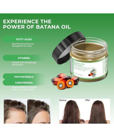 Mysense Raw Batana Oil for Hair 100% Pure Dr Sebi Batana Oil from Honduras Organic Hair Oil for All Hair Types 2.12oz 2.12 Oz - Buy Online on GoSupps.com