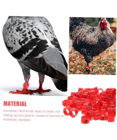 FOMIYES 100pcs Pigeon Anklet Plastic Tags Bird Foot Bands Pigeon Identification Ring Baby Meat Pigeon 1X1X0.8CM Red - Buy Online on GoSupps.com