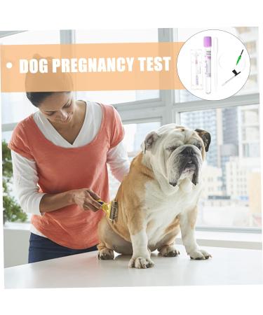 JOEBO Dog Pregnancy Test Strip - Early Detection Urine Test for Pets | Home Test Kit for Puppy Pregnancy - Buy Online on GoSupps.com