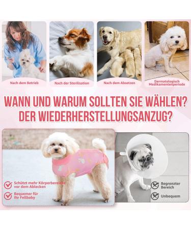 Slowton Soft & Breathable Anti-Wound Licking Suit for Dogs | Post-Op Recovery Zippered E-Collar Alternative - XXL Pink - Buy Online on GoSupps.com