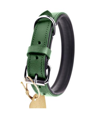 Sniffing fans collar for dogs made of leather dog collar for the large medium and small dog leather collar padded robust (XL - 46-55cm green) XL - 46-55cm green