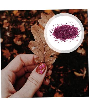 1 Glass Chip Nail Jewels Rhinestones Glass Epoxy Fillers Chips in Bulk Crushed Glass Ornaments Small Nail Art Rhinestones Polymer Clay Mat Nails Gems Bottle Accessories Irregular 0.5X0.3cm Rosy - Buy Online on GoSupps.com