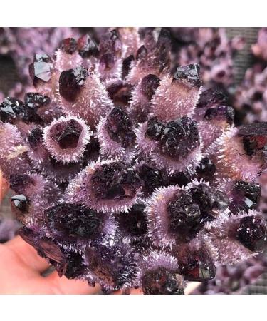 Hot Day Crystal Cluster Coffee Amethyst Processing from The Crystal Cluster FZUGEDRLI - Buy Online on GoSupps.com