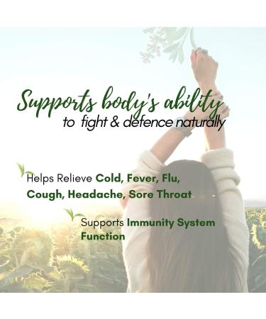 GinSen Gan Mao Qing Re Natural Immunity Booster Tea Relieves Cold Fever Flu Cough Headache Sore Throat Remedy - 10 Sachets - Buy Online on GoSupps.com