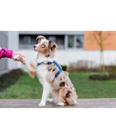 Chaba Guard Dog Harness for Large Dogs - Anti-Choke Adjustable & Lightweight Blue Step-In Harness | Perfect for Running & Training - Buy Online on GoSupps.com