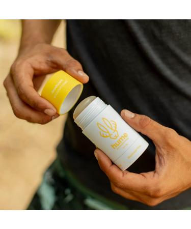 Hume Supernatural Aluminum Free Deodorant for Women & Men - Safe for Sensitive Skin - Probiotic Plant-Based Baking Soda Free Aloe & Cactus Flower Anti Sweat Stain & Odor - Coconut Coast 3-Pack - Buy Online on GoSupps.com
