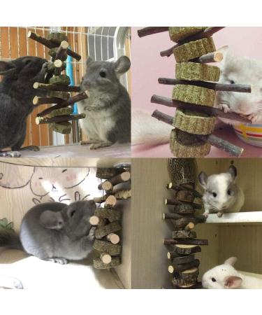 PeSandy Bunny Chew Toys for Teeth 2PCS Organic Apple Wood Molar Sticks with Timothy Hay Circles for Bunny Chinchilla Guinea Pig Hamsters Holland Lop Prairie Dogs Squirrels Improves Dental Health 2 PCS Apple Stick String - Buy Online on GoSupps.com