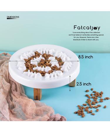 Fatcatjoy Ceramic Slow Feeder Elevated Cat Bowl - Large Food Plate for Whisker Fatigue - Raised Dog Bowl - Buy Online on GoSupps.com