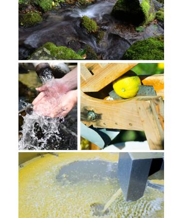 100% Japanese Authentic Yuzu Juice - 3.52 Oz (YUZU) | Premium Quality - Buy Online on GoSupps.com