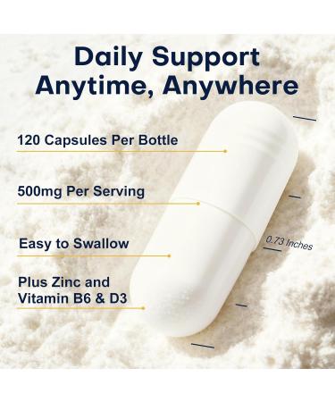 NATURE TARGET Magnesium Citrate 500mg with Zinc & Vitamin D for Muscle, Nerve, Bone & Heart Health, High Absorption Magnesium Supplement, Easy to Swallow Magnesium Capsule for Women & Men, 120 VegCaps 120 Count (Pack of 1) - Buy Online on GoSupps.com