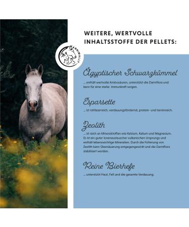 Annimally Zinc for Horses - High-Dose Zinc Pellets (2kg) with Black Cumin Zeolith Scot & Brewer's Yeast for Skin Hair & Hoof Care - International Shipping Available - Buy Online on GoSupps.com