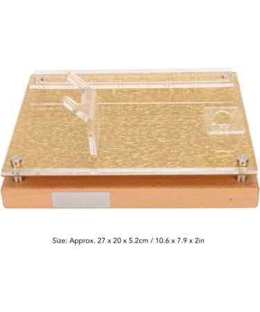 Buy Stable & Large Capacity Massage Device Stand | Organized Storage for Massage Tools - Buy Online on GoSupps.com