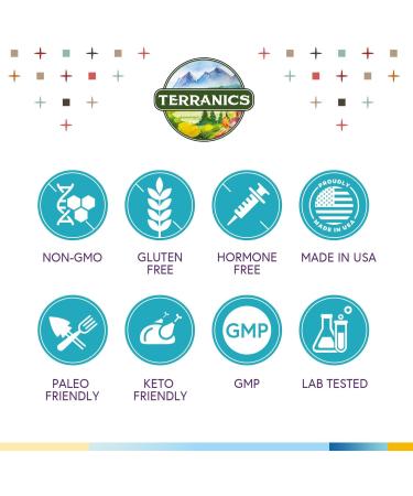 Terranics Magnesium Complex 6-in-1 High Absorption Glycinate Citrate Aspartate Gluconate Calmness Heart Bone 240 Capsules Non-Buffered - Buy Online on GoSupps.com